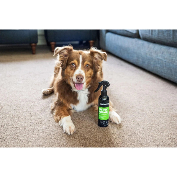 Stink Bomb Deodorising Dog Spray 250ml